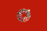 杭州市上城区回收红酒